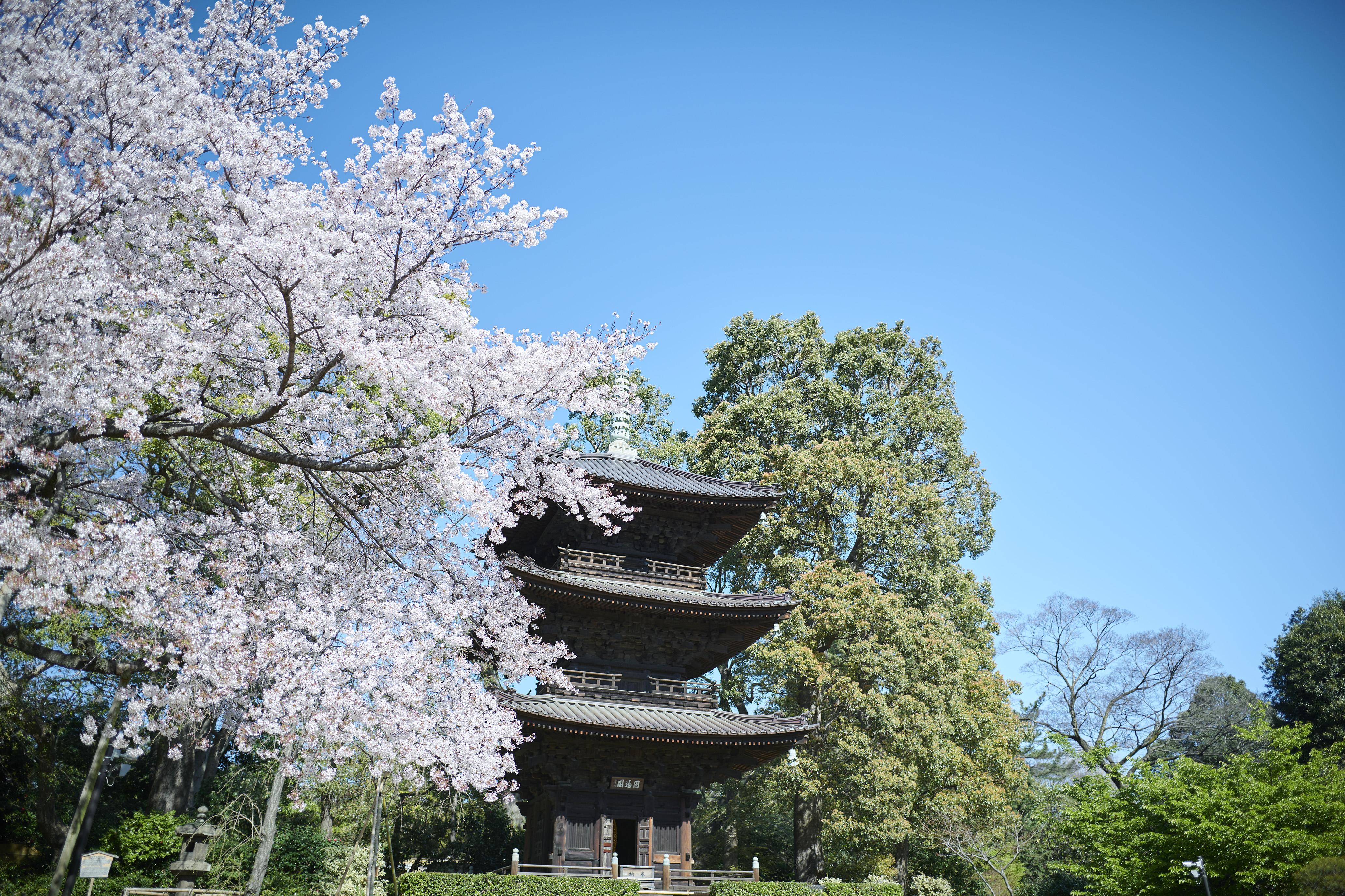 东京椿山庄大酒店 東京都